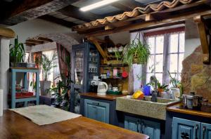 Etno kompleks Orahovac - Vila Paun