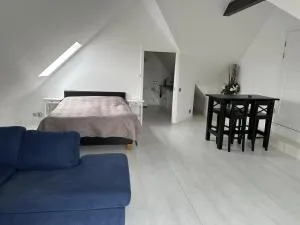 Hörnlägenhet 1 rum, kokvrå, dusch, tvättmaskin, Med balkong - Orkelljunga