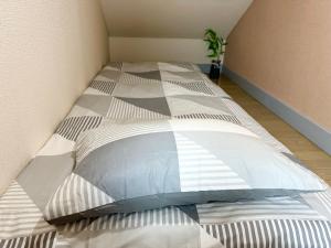 h201新宿区最繁华地域徒步到新大久保只需要7分钟徒步到東新宿只需要5分钟复式房间全新装