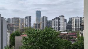 12 Beds 4 Baths 2 Renovated Apts 2nd & 3rd Flr