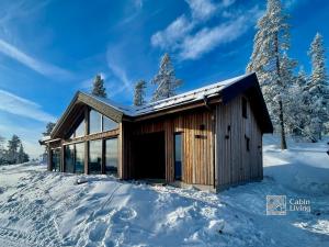 New modern cabin at Norefjell with sauna