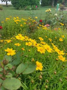 Maisons d'hotes La Galerne : photos des chambres
