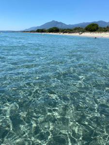 Maison au calme piscine mer au coeur de la nature U Nuciolu