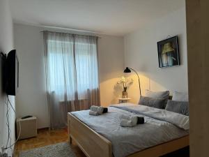 Apartman K42