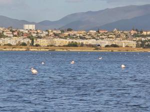 Poetto Parkside Apartment img19