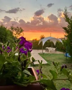 El Rincón de Willy - 佩尼亚兰达德杜埃罗