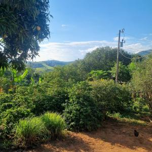 Pousada Vida Nova Taguá Ouro Fino