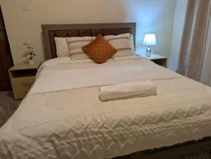 True Feel Flat in Kampala, Uganda - Gaba