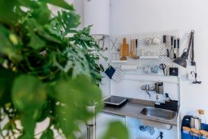 Central Garden Studio