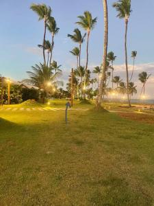 Malawi Muro alto- 102G térreo