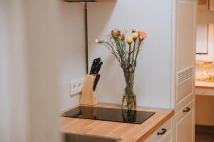 Apartman Esseg - Luxury Living in Historic Esseg - SELF CHECK IN