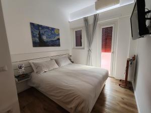 Domus MT481
