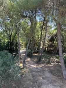 Casa vacanze Orizzonti