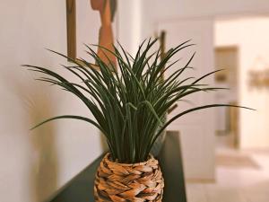 Apartamento Oásis Parque 2