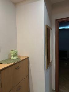 Apartman u centru Niša