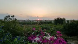 Little Paradise - Phrenaros