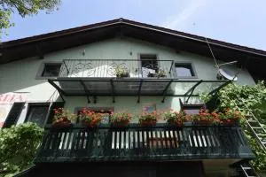 Fedrig Hostel rooms - 新戈里察