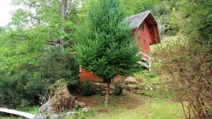 Lodge Altos de Curarrehue