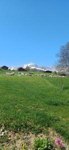 Appartements Gite Les Aravis : photos des chambres