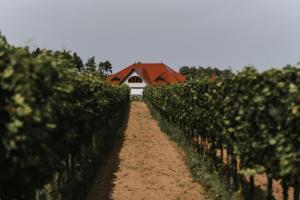 Apartamenty Winnica Milsko