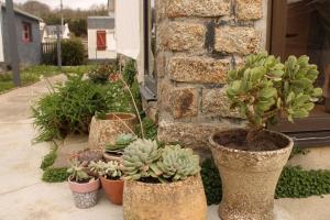 Maisons de vacances Chez Patrick et Virginie : photos des chambres