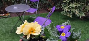 LA COLLINA IN CITTà