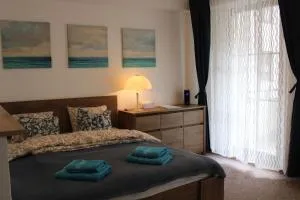 Jáchymov Blue Apartment - 亚希莫夫