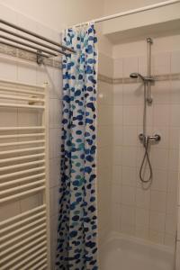 Jáchymov Blue Apartment