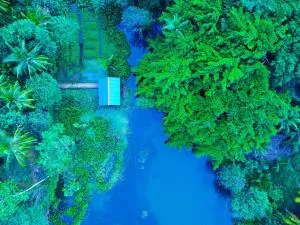 Walawe Palm Villa - 恩比利皮蒂耶