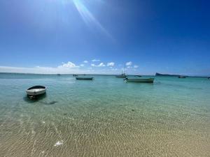 The Bok & Dodo Luxury 3 Bedroom apartment