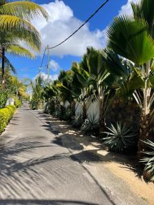 The Bok & Dodo Luxury 3 Bedroom apartment