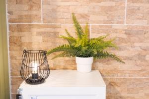 Les Elfes - avec entrée autonome, clim neuve, jardin, parking privé & gourmandises offertes ! -