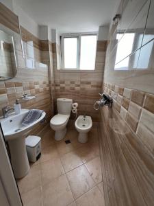 Sota apartment large