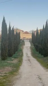 Casale nei vigneti - Catino
