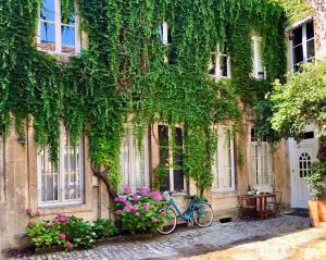 La Chouette Blanche, hypercentre