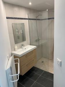 Appartements Appartement ideale proche Paris : photos des chambres