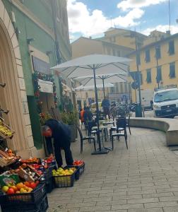 Charming & spacious Florentine home just two mins from tram stop