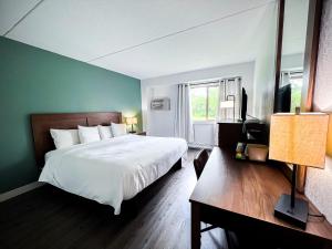 Large Single Room room in Walleye Inn