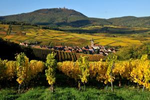 Appartements Gite See You Soon - Studio Wood : photos des chambres