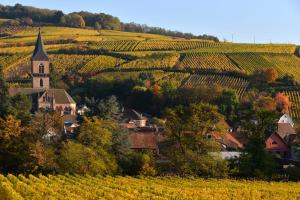 Appartements Gite See You Soon - Studio Wood : photos des chambres