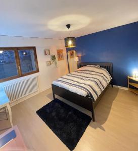 Appartements Appartement Tres Cosy a 5 min Aeroport Geneve : photos des chambres