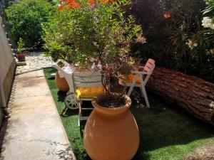 B&B / Chambres d'hotes Espace Ki-Zen : photos des chambres