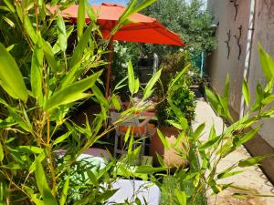 B&B / Chambres d'hotes Espace Ki-Zen : photos des chambres