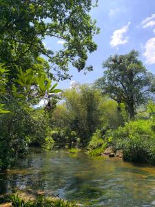 Rainforest Mount Villa