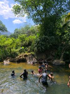 Rainforest Mount Villa