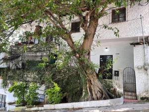 Newly Renovated 1 Bedroom, Sleeps 4, Unit A