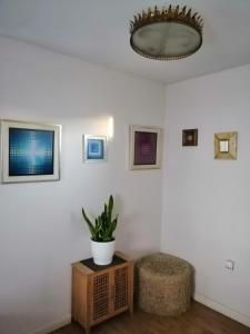 Apartamento OGUM Cáceres