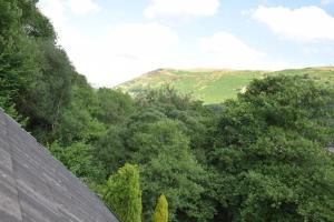 Special accommodation for Business, Commercial or Professional Guests