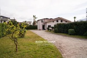 Room to Dream - San Valentino Torio