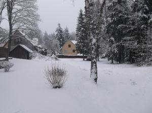 Appartements Un sejour ressourcant en Alsace entre vignes et montagnes l-Escapade Barochaise a 20mn de Colmar : photos des chambres